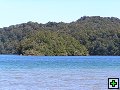 thn_NZ leden-unor 2006 262.jpg